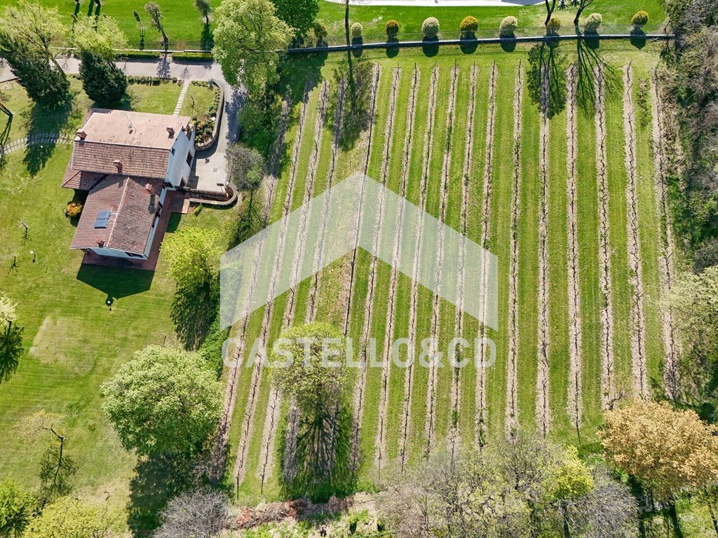 Villa con Vigneto e Parco