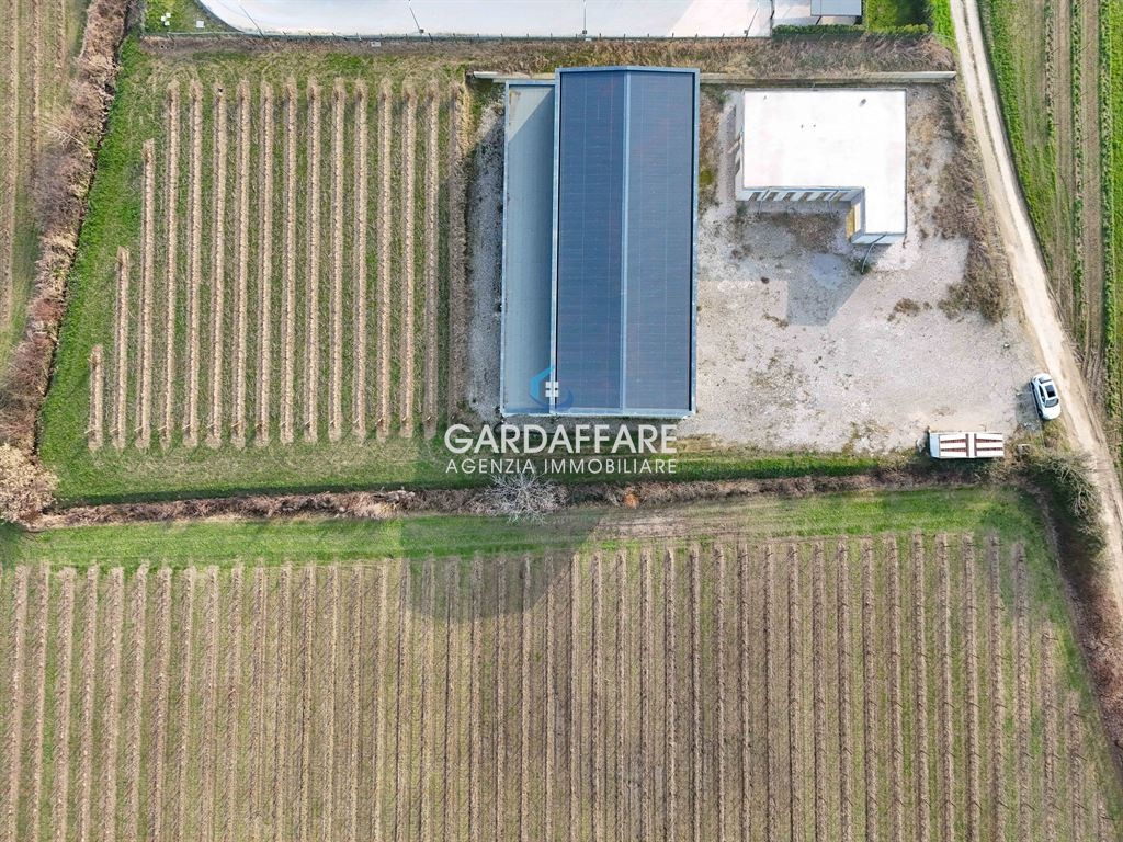 Progetto vitivinicolo con cantina e vigneto – Opportunità di investimento